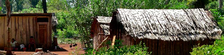 Living Conditions